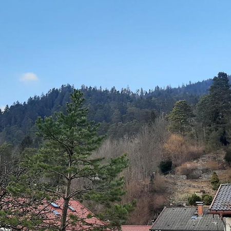 Appartement Im Hasental Γκάρμις-Παρτενκίρχεν Εξωτερικό φωτογραφία