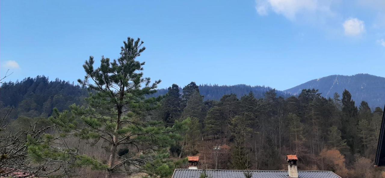 Appartement Im Hasental Γκάρμις-Παρτενκίρχεν Εξωτερικό φωτογραφία